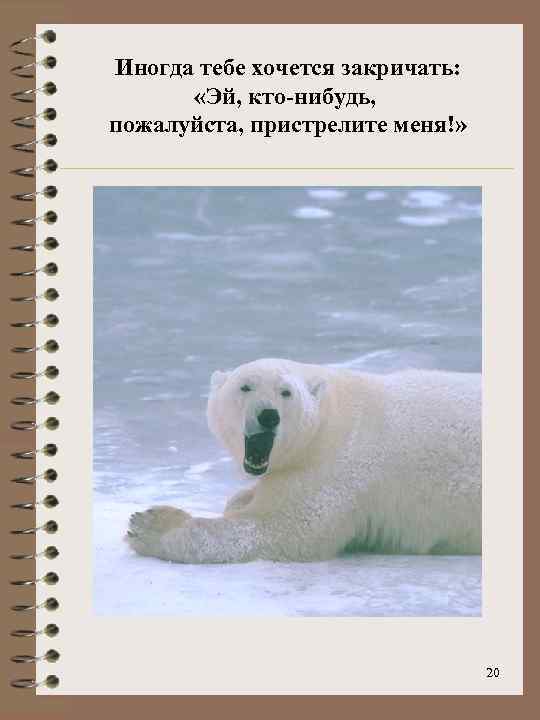 Иногда тебе хочется закричать: «Эй, кто-нибудь, пожалуйста, пристрелите меня!» 20 