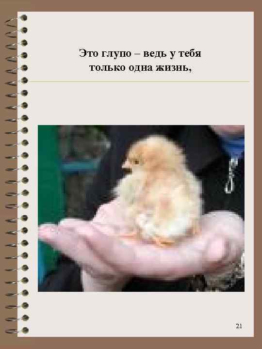 Это глупо – ведь у тебя только одна жизнь, 21 