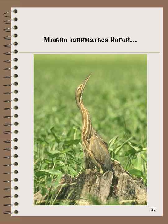 Можно заниматься йогой… 25 