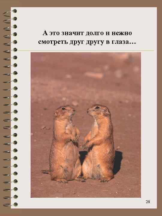 А это значит долго и нежно смотреть другу в глаза… 28 