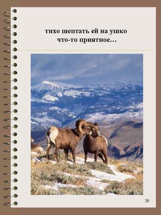 тихо шептать ей на ушко что-то приятное… 29 