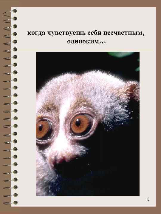 когда чувствуешь себя несчастным, одиноким… 3 