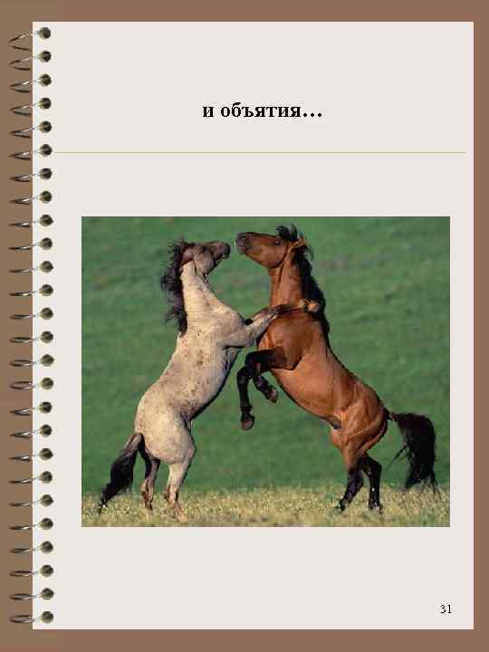 и объятия… 31 