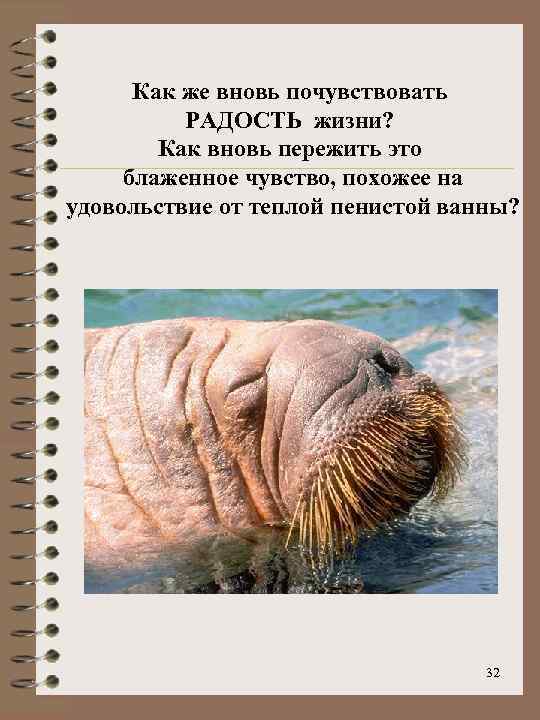Как же вновь почувствовать РАДОСТЬ жизни? Как вновь пережить это блаженное чувство, похожее на