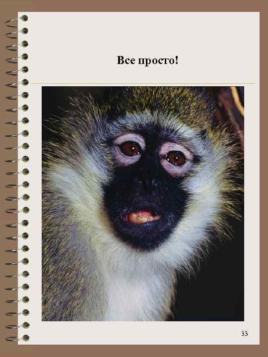 Все просто! 33 