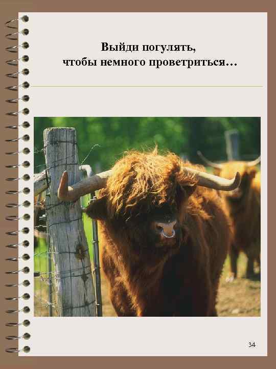 Выйди погулять, чтобы немного проветриться… 34 