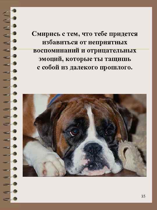 Смирись с тем, что тебе придется избавиться от неприятных воспоминаний и отрицательных эмоций, которые