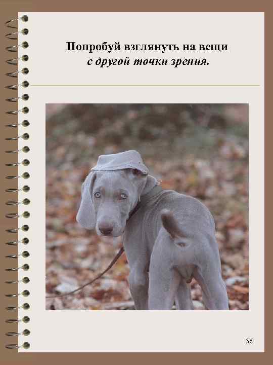 Попробуй взглянуть на вещи с другой точки зрения. 36 