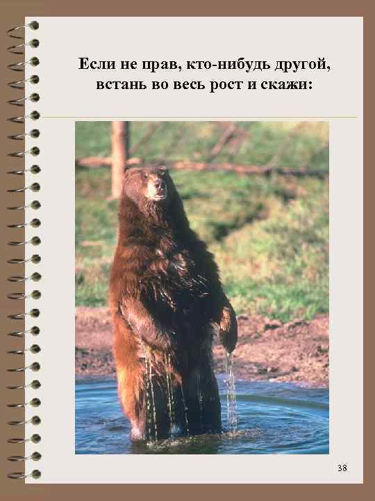 Если не прав, кто-нибудь другой, встань во весь рост и скажи: 38 