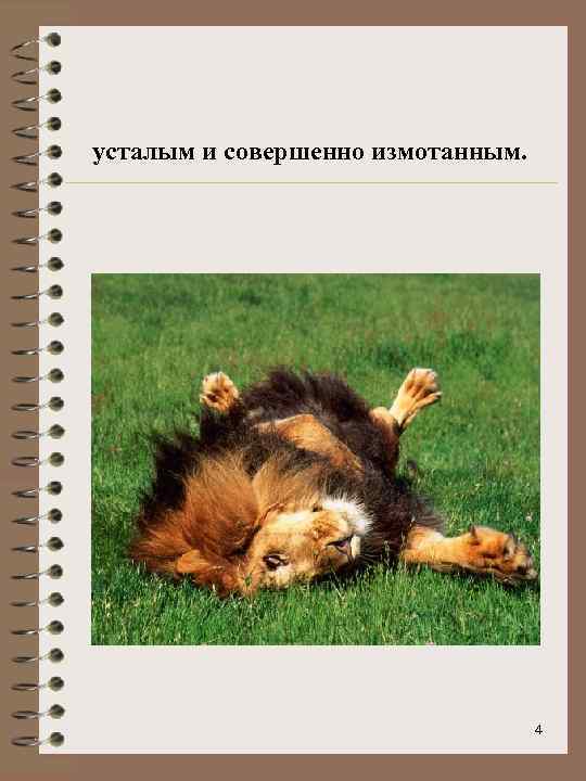 усталым и совершенно измотанным. 4 