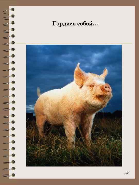 Гордись собой… 40 