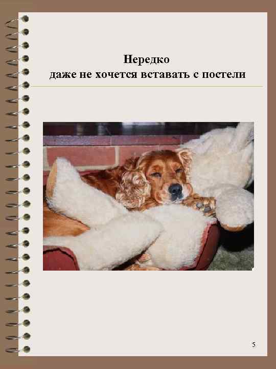 Нередко даже не хочется вставать с постели 5 