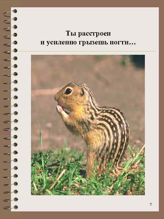 Ты расстроен и усиленно грызешь ногти… 7 