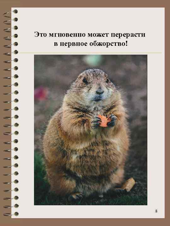 Это мгновенно может перерасти в нервное обжорство! 8 