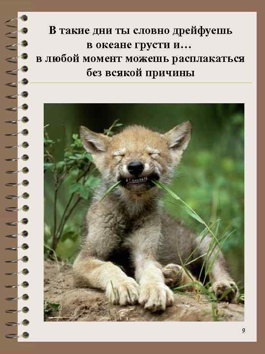 В такие дни ты словно дрейфуешь в океане грусти и… в любой момент можешь