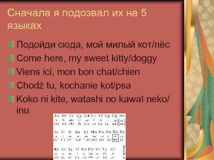 Сначала я подозвал их на 5 языках Подойди сюда, мой милый кот/пёс Come here,