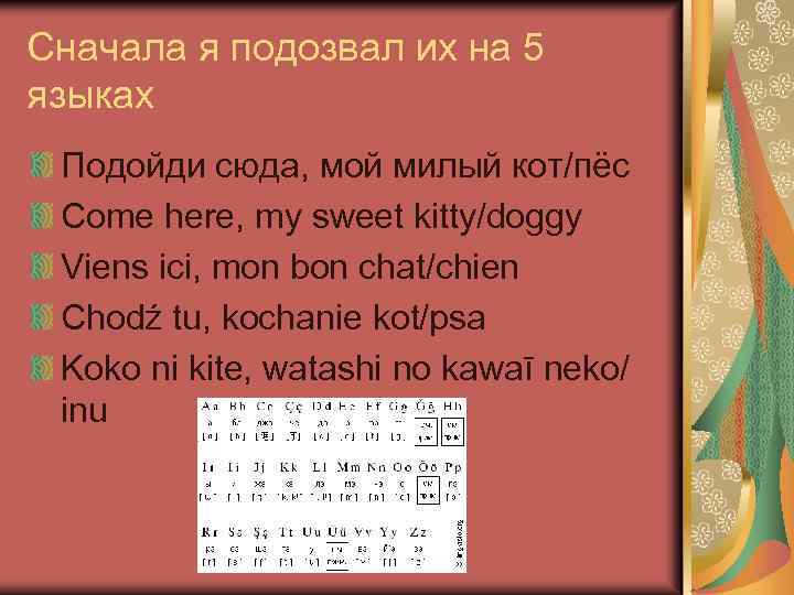 Сначала я подозвал их на 5 языках Подойди сюда, мой милый кот/пёс Come here,