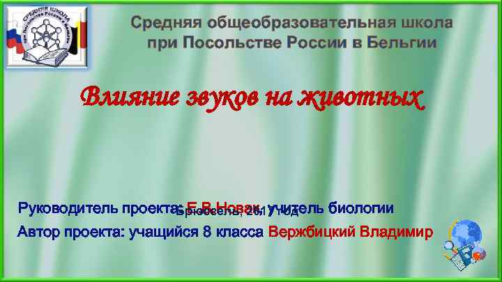 Средняя общеобразовательная школа при Посольстве России в Бельгии Влияние звуков на животных Руководитель проекта: