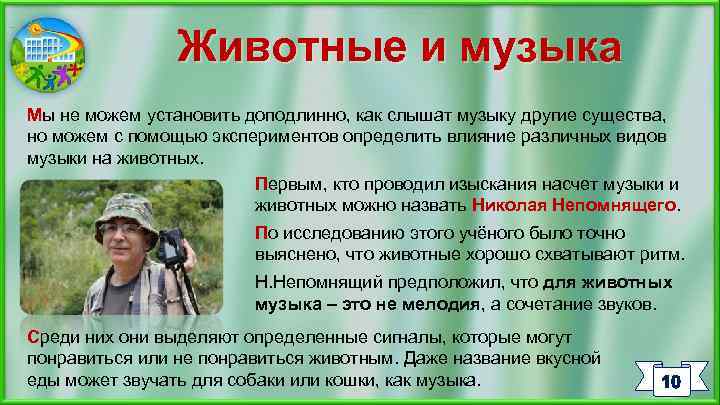 Животные и музыка Мы не можем установить доподлинно, как слышат музыку другие существа, но