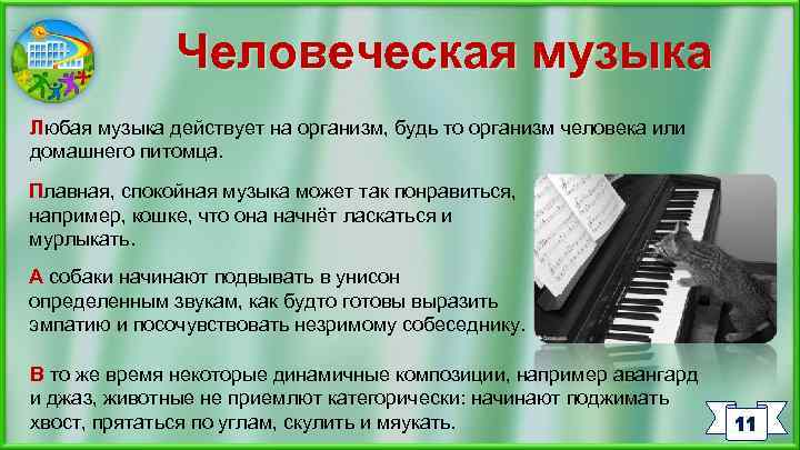 Человеческая музыка Любая музыка действует на организм, будь то организм человека или домашнего питомца.