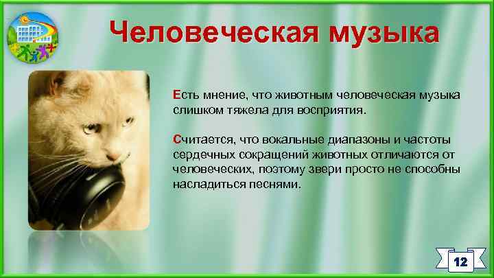 Человеческая музыка Есть мнение, что животным человеческая музыка слишком тяжела для восприятия. Считается, что