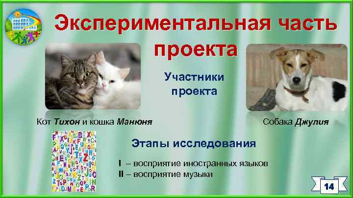 Экспериментальная часть проекта Участники проекта Кот Тихон и кошка Манюня Собака Джулия Этапы исследования