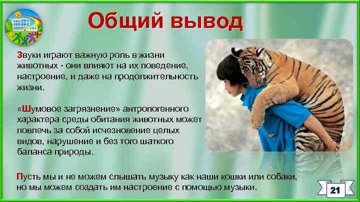 Общий вывод Звуки играют важную роль в жизни животных - они влияют на их