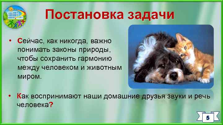 Постановка задачи • Сейчас, как никогда, важно понимать законы природы, чтобы сохранить гармонию между