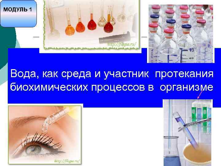 Протекающая среда. Вода среда для протекания реакций. Вода среда для протекания реакций в организме. Вода среда протекания всех биохимических реакций. Биохимические реакции с водой.