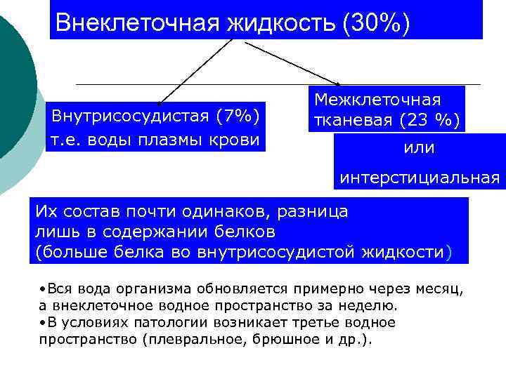 Внеклеточная жидкость (30%) Внутрисосудистая (7%) т. е. воды плазмы крови Межклеточная тканевая (23 %)