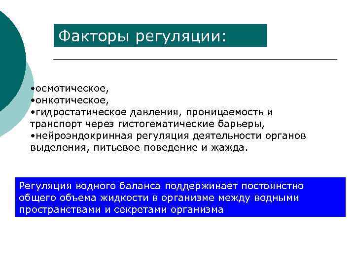 Факторы регуляции: • осмотическое, • онкотическое, • гидростатическое давления, проницаемость и транспорт через гистогематические