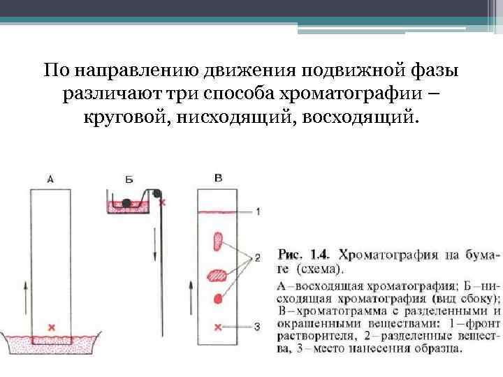 По направлению движения подвижной фазы различают три способа хроматографии – круговой, нисходящий, восходящий. 