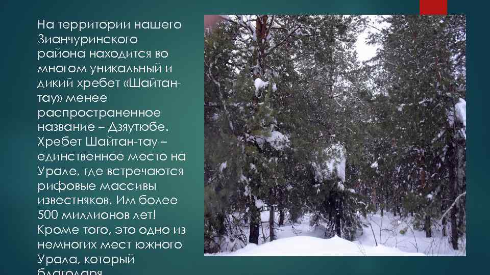 На территории нашего Зианчуринского района находится во многом уникальный и дикий хребет «Шайтантау» менее