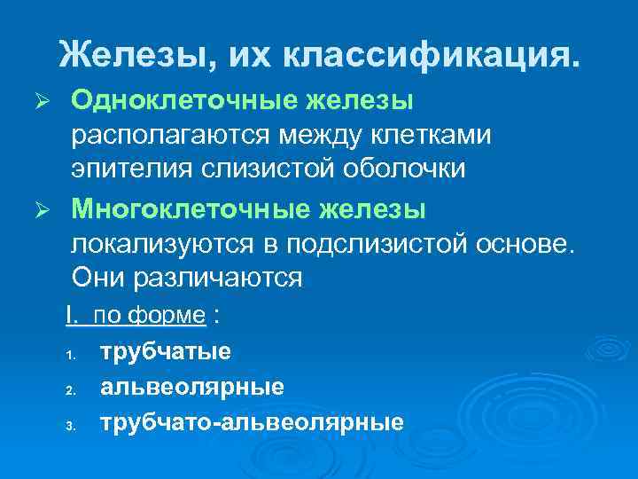 Железы, их классификация. Одноклеточные железы располагаются между клетками эпителия слизистой оболочки Ø Многоклеточные железы