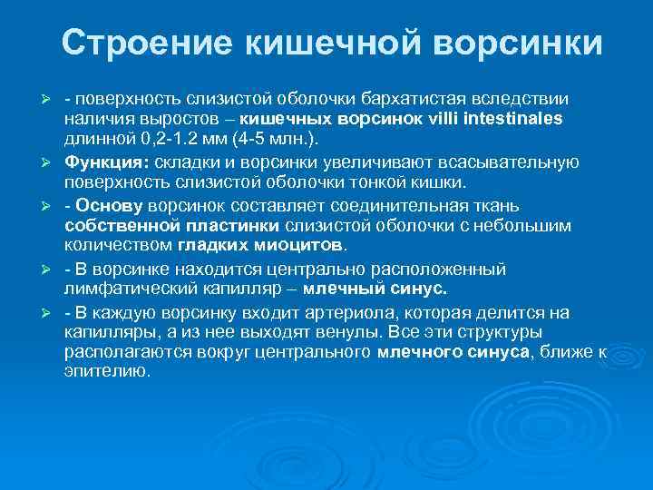 Строение кишечной ворсинки Ø Ø Ø - поверхность слизистой оболочки бархатистая вследствии наличия выростов