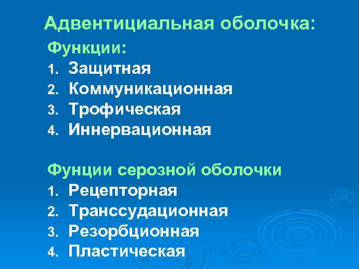 Адвентициальная оболочка: Функции: 1. Защитная 2. Коммуникационная 3. Трофическая 4. Иннервационная Фунции серозной оболочки