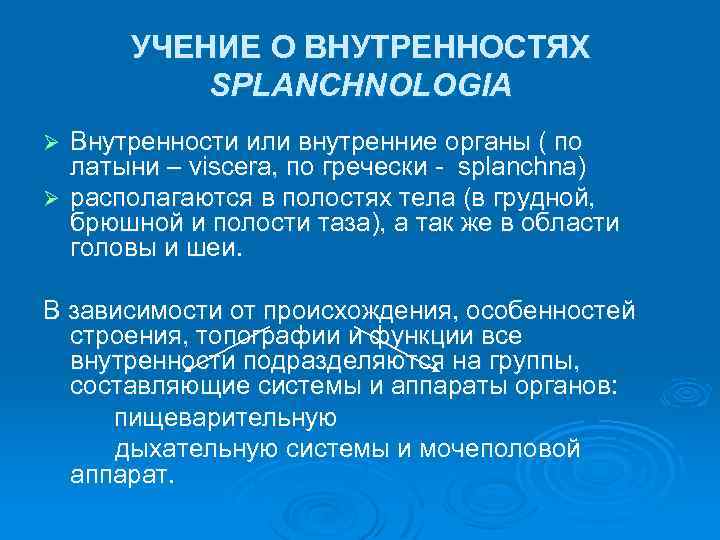 УЧЕНИЕ О ВНУТРЕННОСТЯХ SPLANCHNOLOGIA Внутренности или внутренние органы ( по латыни – viscera, по