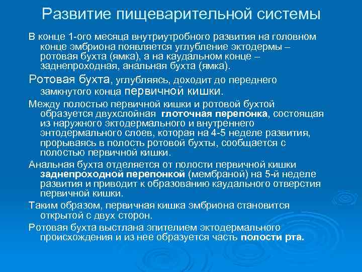 Развитие пищеварительной системы В конце 1 -ого месяца внутриутробного развития на головном конце эмбриона