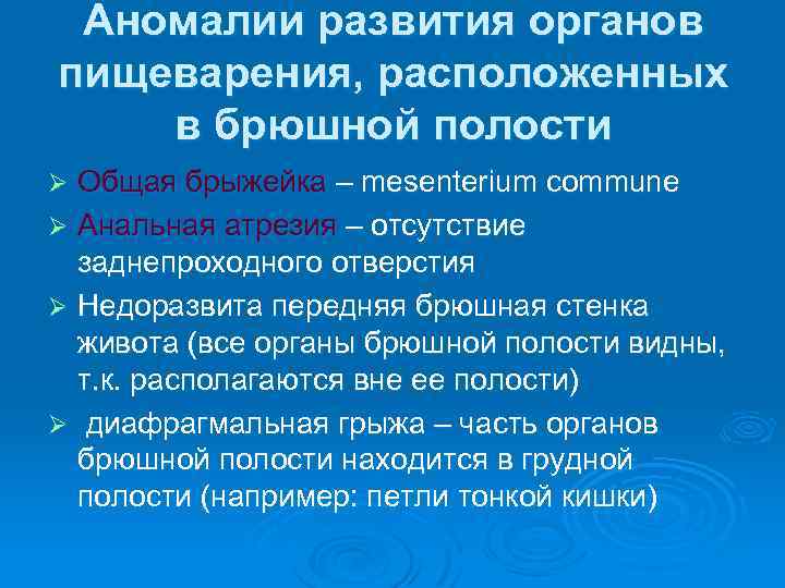 Аномалии развития органов пищеварения, расположенных в брюшной полости Общая брыжейка – mesenterium commune Ø