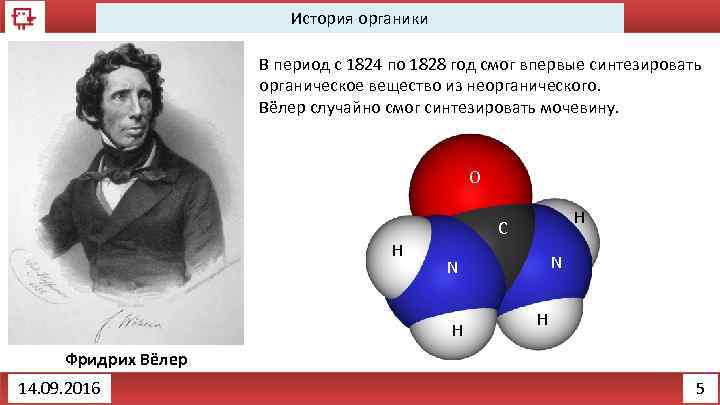 История органики В период с 1824 по 1828 год смог впервые синтезировать органическое вещество