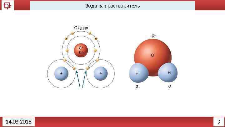 Вода как растворитель 14. 09. 2016 3 