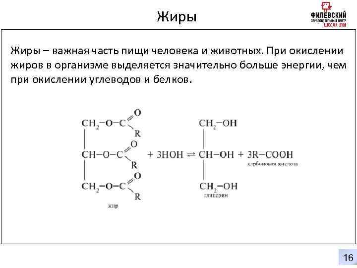 Жиры – важная часть пищи человека и животных. При окислении жиров в организме выделяется