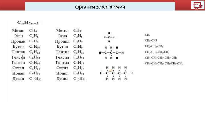 Органическая химия 