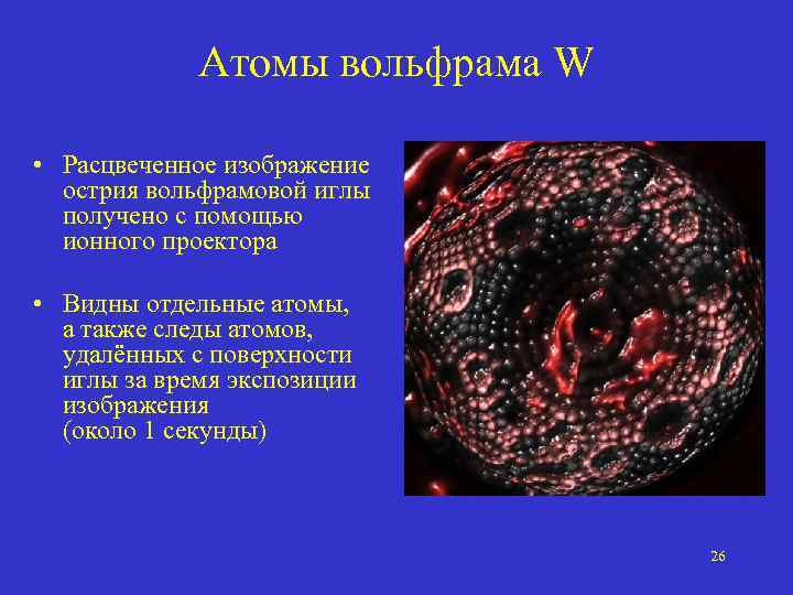 Атомы вольфрама W • Расцвеченное изображение острия вольфрамовой иглы получено с помощью ионного проектора
