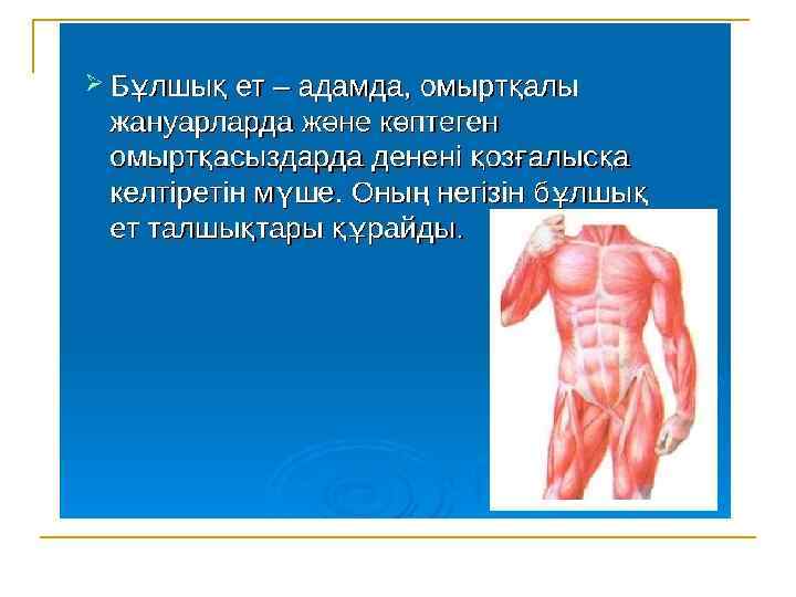 Бұлшық ет презентация