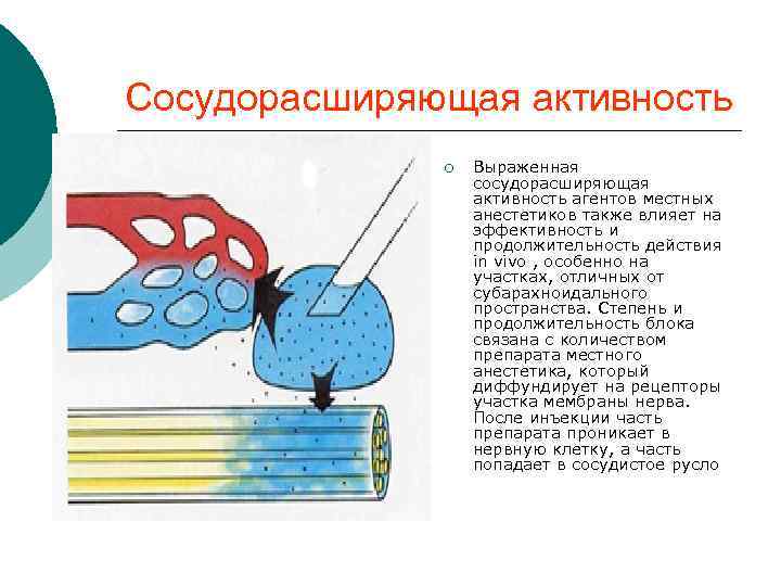 Сосудорасширяющая активность ¡ Выраженная сосудорасширяющая активность агентов местных анестетиков также влияет на эффективность и
