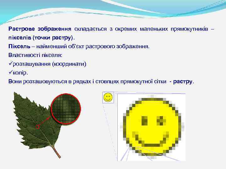 Растрове зображення складається з окремих маленьких прямокутників – пікселів (точки растру). Піксель – найменший