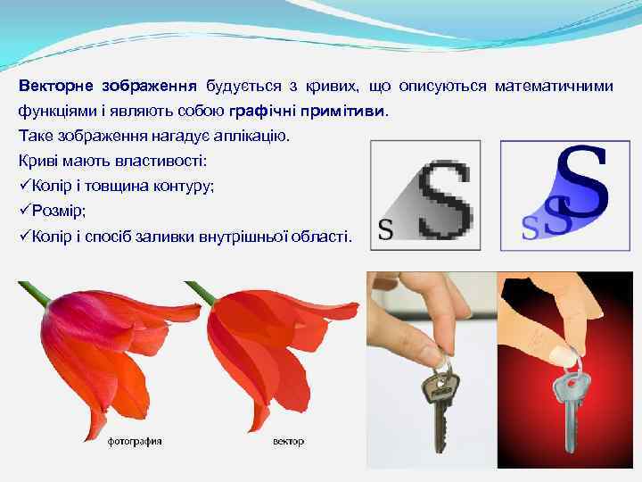 Векторне зображення будується з кривих, що описуються математичними функціями і являють собою графічні примітиви.