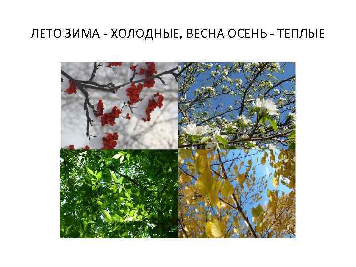 ЛЕТО ЗИМА - ХОЛОДНЫЕ, ВЕСНА ОСЕНЬ - ТЕПЛЫЕ 