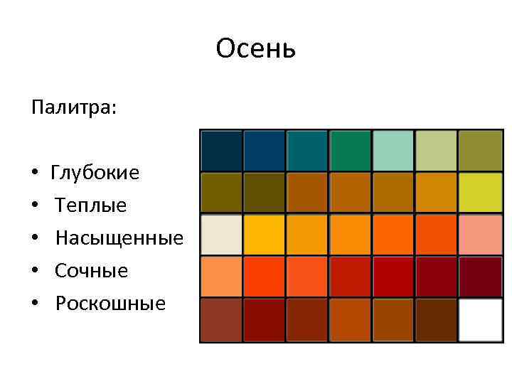 Осень Палитра: • • • Глубокие Теплые Насыщенные Сочные Роскошные 